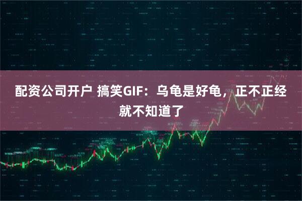配资公司开户 搞笑GIF：乌龟是好龟，正不正经就不知道了
