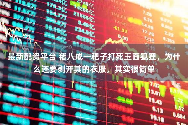 最新配资平台 猪八戒一耙子打死玉面狐狸，为什么还要剥开其的衣服，其实很简单